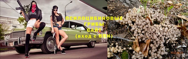 прущая мука Ельня