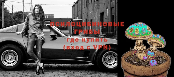 Альфа ПВП Елабуга