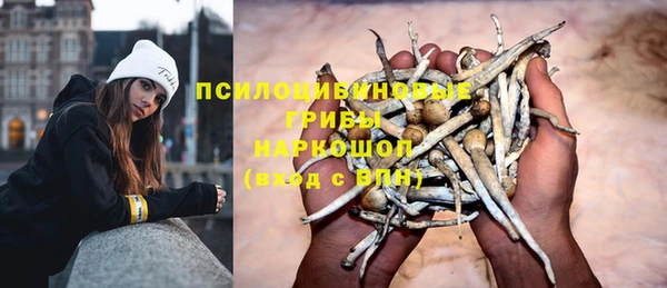 Альфа ПВП Елабуга